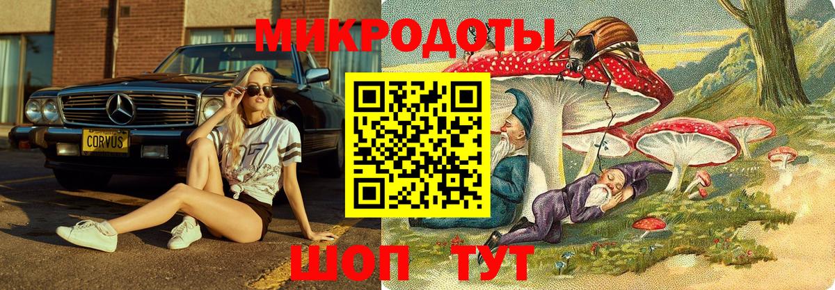 Галлюциногенные грибы Cubensis Новый Уренгой